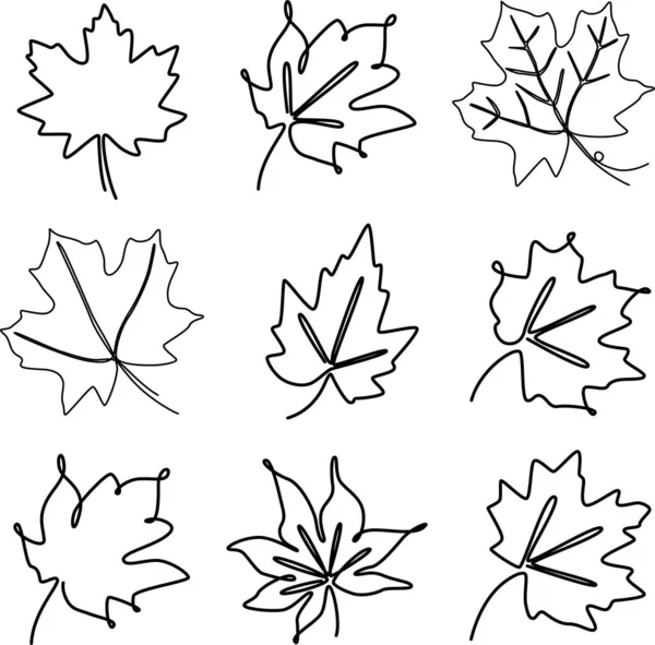 Akçaağaç Sonbahar Yaprağının Aralıksız Bir Çizgisi Çizimi — Stok Vektör