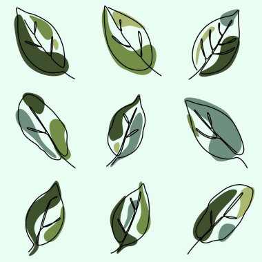 Tropikal yaprak çizmeye devam et. Yaz botanik yaprağı