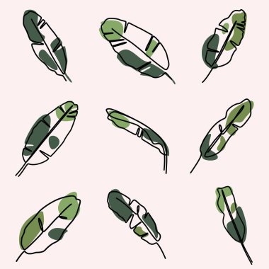 Tropikal muz yaprağı çizmeye devam et. Yaz botanik yaprağı