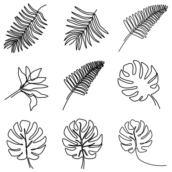 Conjunto Uma Linha Desenho Contínuo Folha Tropical Folha Botânica Verão — Vetor de Stock