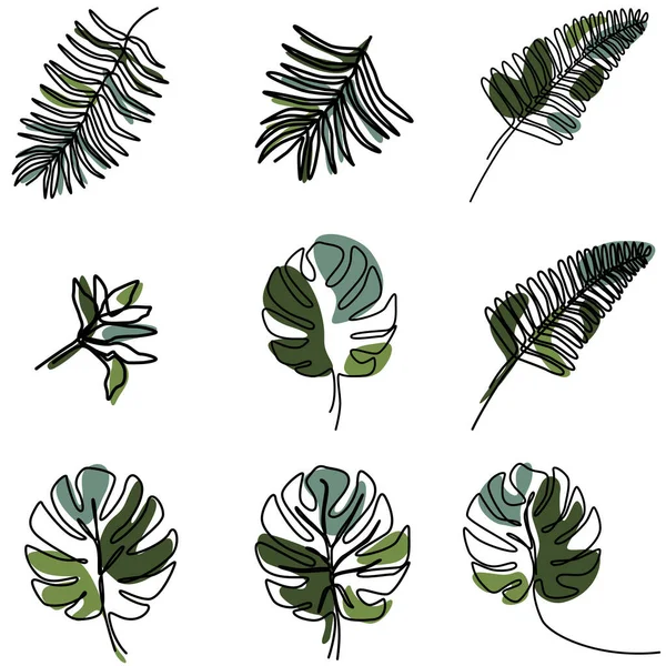 Satz Von Einer Linie Kontinuierliche Zeichnung Tropisches Blatt Botanisches Sommerblatt — Stockvektor
