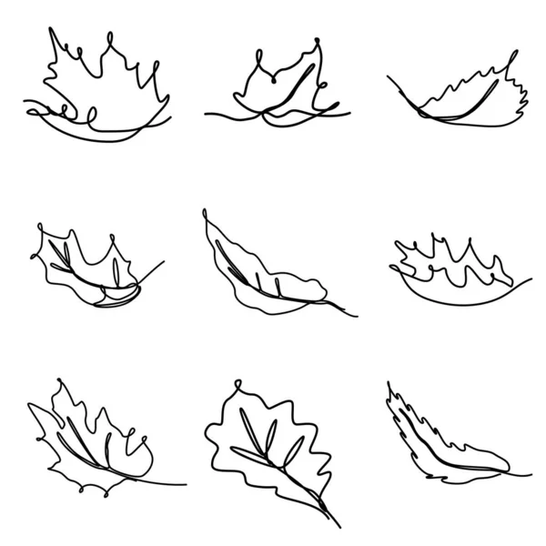 Satz Von Kontinuierlichen Einzeiligen Illustrationen Des Herbstbaumblattes — Stockvektor