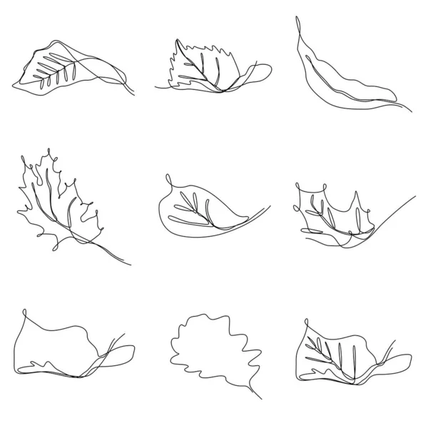 Conjunto Uma Linha Contínua Ilustração Folha Árvore Outono — Vetor de Stock