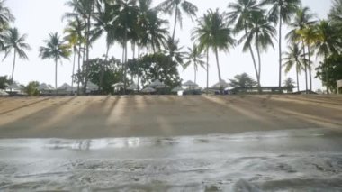 Denizden gelen beyaz kumsalda şemsiyeli lüks plaj yatakları manzarası. Tayland 'da tatil köyünde hindistan cevizi ağacı olan kumsal güneşli yaz havası mavi gökyüzü