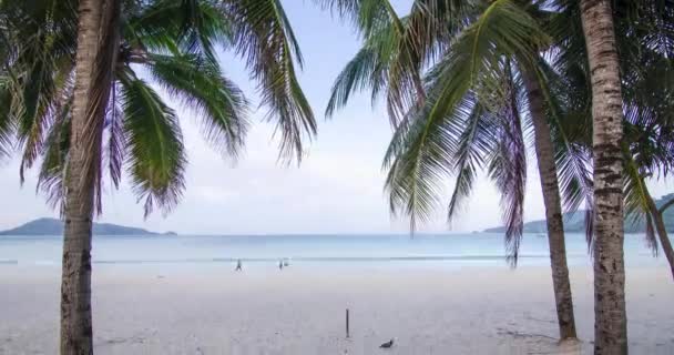 Time Lapse Tropical Sea Beach Landscape Light Nature Cloudscape Sky — Vídeo de Stock