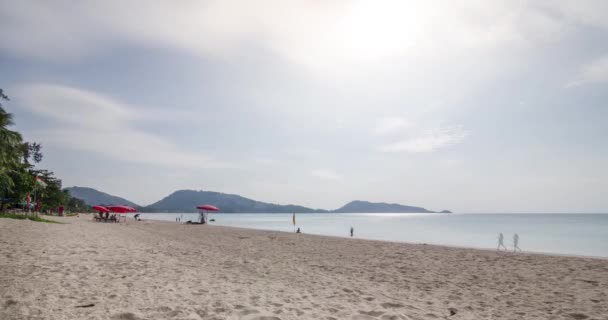 Timelapse Summer Video Beach Coconut Palm Tree Sunshine Daytime White — Wideo stockowe