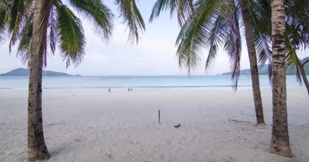 Yaz Videosu Plaj Gündüz Güneşli Beyaz Kumlu Huzurlu Deniz Açık — Stok video