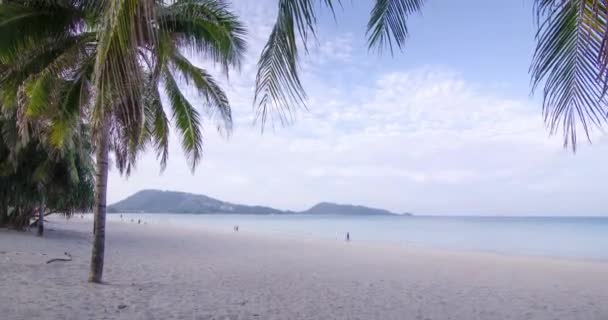 Timelapse Summer Video Beach Coconut Palm Tree Sunshine Daytime White — Stock Video