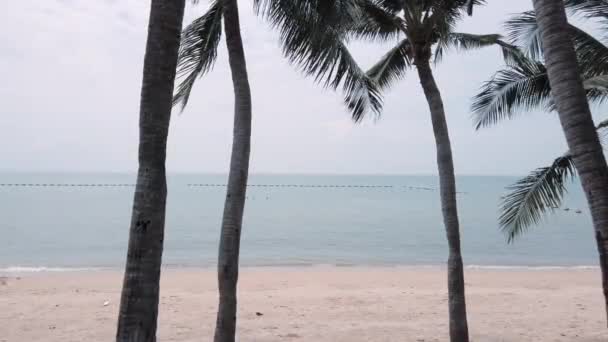 Landscape View Coconut Tree Beach Side Cloudy Sky Summer Vacation — Vídeos de Stock