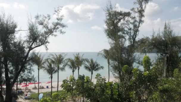 Vista Aérea Playa Patong Con Palmera Vegetación Con Tranquilas Vistas — Vídeos de Stock