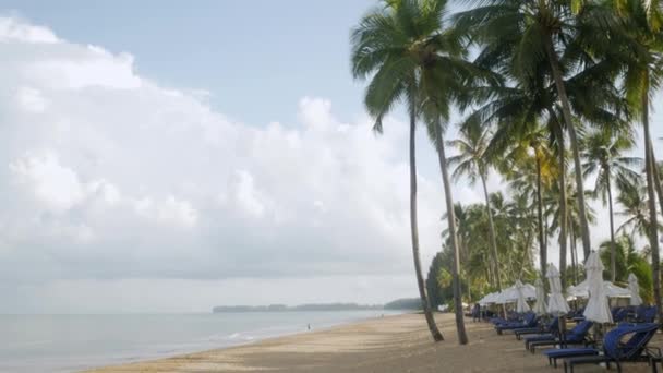 Luxury Beach Lounge Beds Umbrella White Sand Beach Beach Coconut — Stock Video