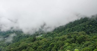 Zaman kavramlı doğa bulutu kışın ormanla birlikte dağ tepesinde hareket ediyor, manzaraya doğru parlayan yumuşak bulutsu manzarası
