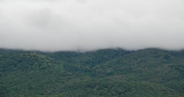 Часовий Пояс Природа Хмарний Туман Рухається Гірському Пагорбі Лісом Зимовий — стокове відео