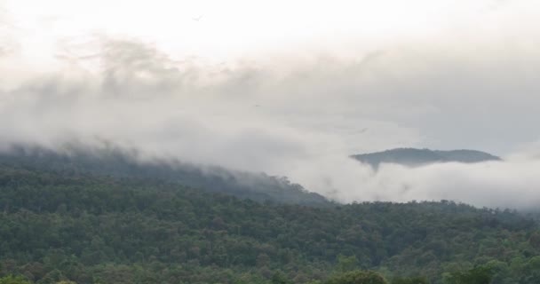 Timelapse Nature Cloud Fog Moving Mountain Hill Forest Winter Time — Wideo stockowe
