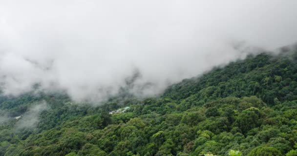 Timelapse Nature Cloud Fog Moving Mountain Hill Forest Winter Time — стоковое видео