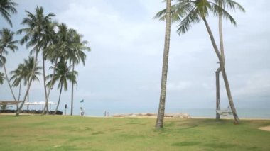 Green lawn with coconut tree near the beach in summer vacation time in Phuket,Thailand
