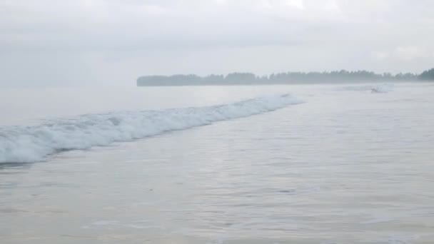 Natural Sea Wave Water Foam Windy Cloudy Day — Video Stock