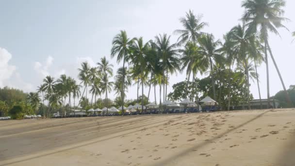 Utsikt Över Den Lyxiga Strandloungen Med Paraply Vit Sandstrand Från — Stockvideo