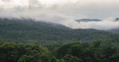 timelapse nature cloud fog moving on the mountain hill with forest in winter time, high glowing soft cloudscape toward landscape
