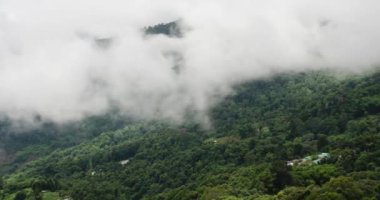 timelapse nature cloud fog moving on the mountain hill with forest in winter time, high glowing soft cloudscape toward landscape