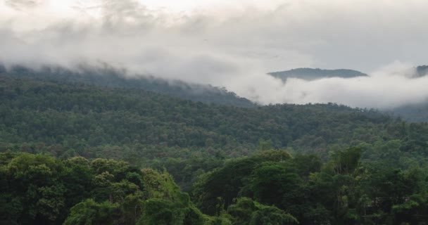 Timelapse Nature Cloud Fog Moving Mountain Hill Forest Winter Time — Wideo stockowe