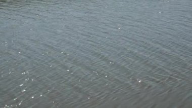 water surface of the lake with wave by wind blowing in summer
