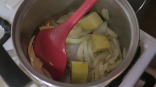 Stir Fried Fresh Onion Carrot Potato Pot Home Cooking Preparing — Vídeo de stock