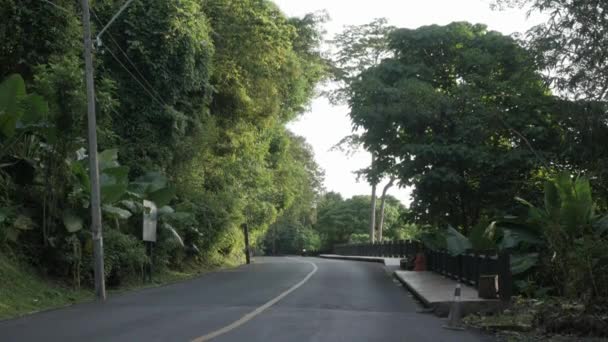 Asphalt Road Nature Rain Forest Jungle Mountain Sunshine Early Morning — 图库视频影像