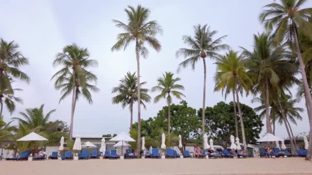 Pov Den Vita Sandstranden Med Vågor Havet Och Kokosnötsträd Stranden — Stockvideo