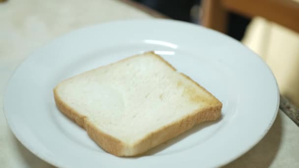 用烤箱烘烤后 把新鲜的烤面包放入白盘 准备健康饮食 — 图库视频影像