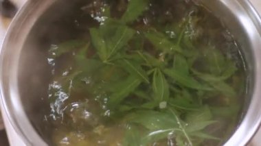 Kenevir marihuana kenevir yaprakları demlikte kaynarken çay yapmak için. Sağlıklı yerel çay içeceği.