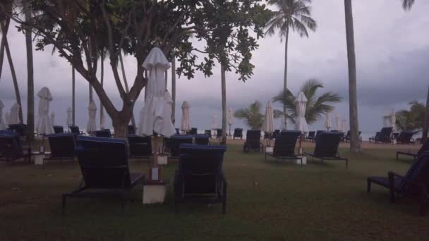 Luxury Beach Lounge Beds Umbrella Green Lawn Beach Beach Coconut — Vídeo de Stock
