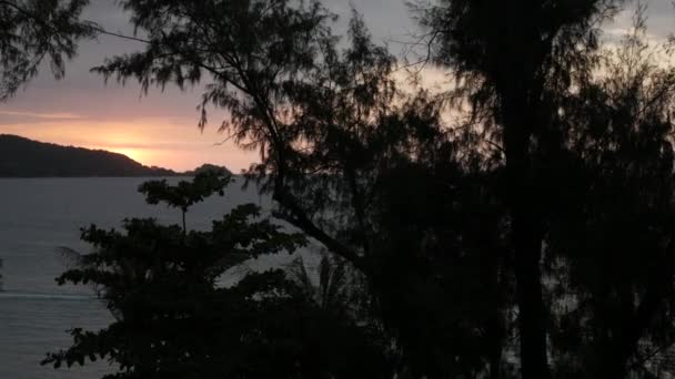 Letecký Pohled Patong Pláž Palmami Zelení Strom Klidným Klidným Výhledem — Stock video