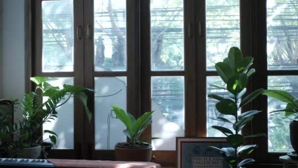 Vista Interior Dentro Cafetería Calentamiento Solitario Con Piano Eléctrico Árbol — Vídeos de Stock
