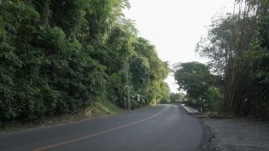 asphalt road among nature rain forest jungle on mountain with sunshine in early morning