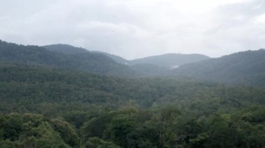 Yeşil dağ sırasının doğal yeşil manzarası. Arka planda sis bulutu, Chiang Mai 'deki doğal yağmur mevsimi manzarası.