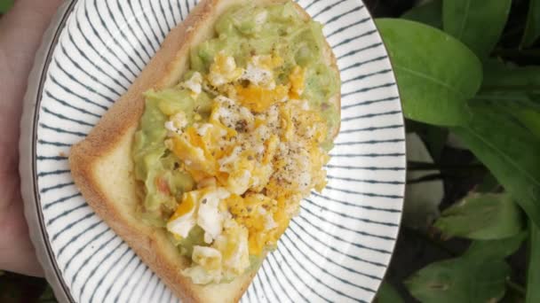 Avokado Tostu Çırpılmış Yumurta Tabağı Güney Asya Sağlıklı Yemek Tabağı — Stok video