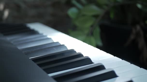 Video Keyboard Piano While Using Fingers Hand Playing Classic Music — Video Stock