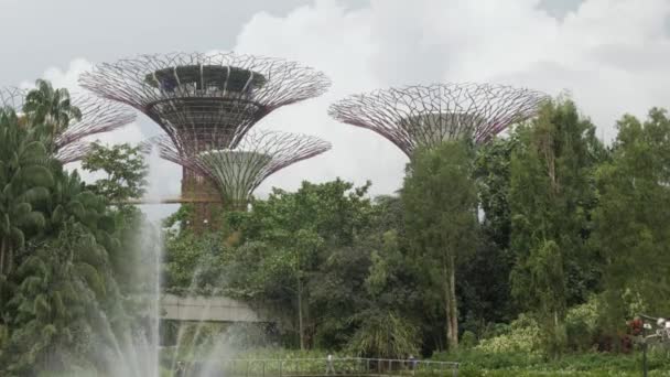 Superárboles Gigantes Ocbc Skyway Sin Gente Skyway Superárboles Fondo Gardens — Vídeos de Stock