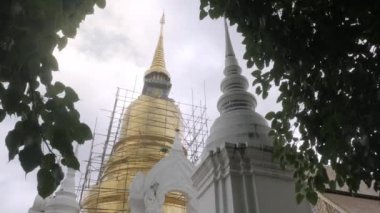 many ancient stupa pagoda in Wat Suan Dok Temple landmark famous place in chiang mai