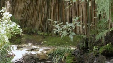 view of many greenery tree in the asian garden in summer daytime with sunlight. Natural landscape view in garden