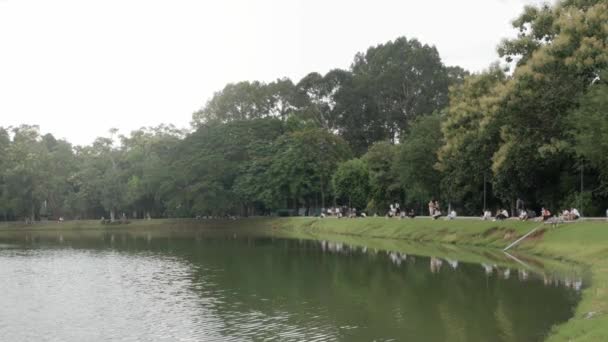 Naturalny Zielony Widok Jezioro Zbiornika Zielonymi Drzewami Zakres Parku Publicznym — Wideo stockowe