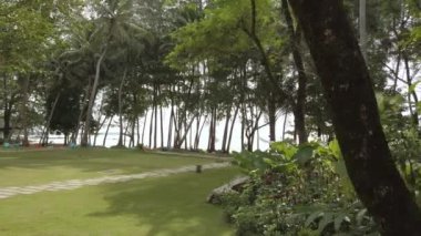 Yaz günü plaj denizi yakınlarındaki tropikal ağaçlar arasındaki yeşil bahçenin manzarası. Gün ışığında huzurlu deniz manzaralı plaj alanı. Doğal arka plan.