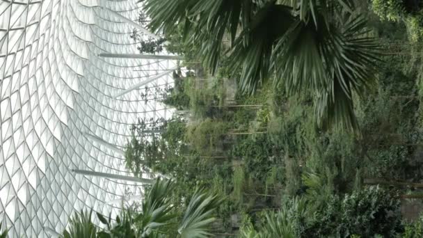 Vertical Video Tropical Rainforest Indoor Garden Environmental Conservation Tropical Forest — Stock Video