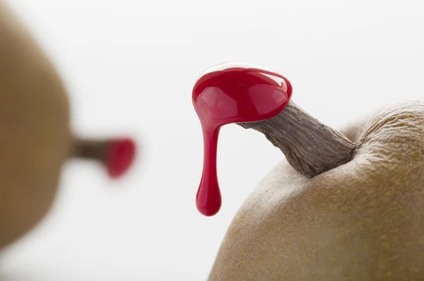 緑洋梨の赤のシーリング ワックス — ストック写真