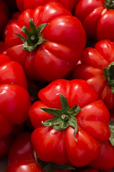 Red tomatoes — Stock Photo, Image