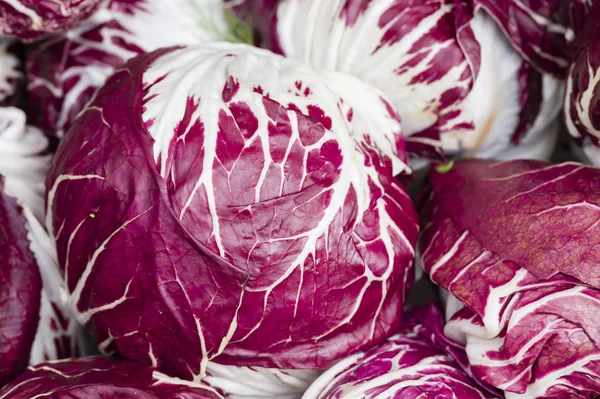 Kırmızı Turpla salata — Stok fotoğraf