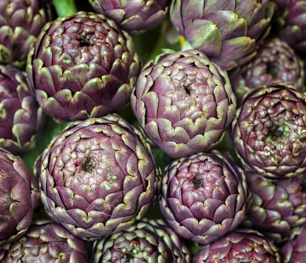 Alcachofa globo, Cynara cardunculus —  Fotos de Stock