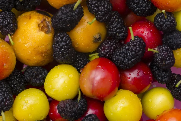 Colección de fruta fresca y colorida —  Fotos de Stock