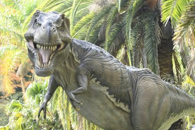 Kuzey Amerika 'nın Theropod dinozoru Tyrannosaurus' un gerçek boyutlarda yeniden inşası..